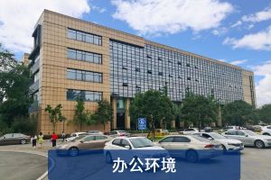 污水处理案例