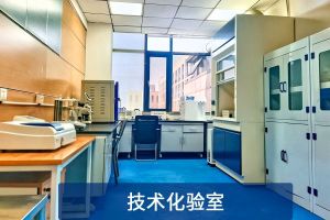 污水处理案例