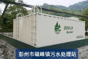 污水处理案例