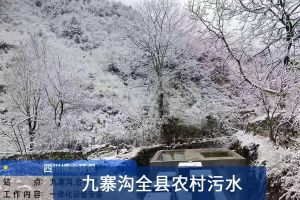 污水处理案例