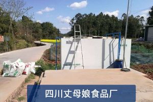 污水处理