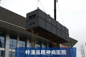 污水处理案例