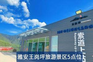 污水处理案例
